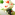 GIcon